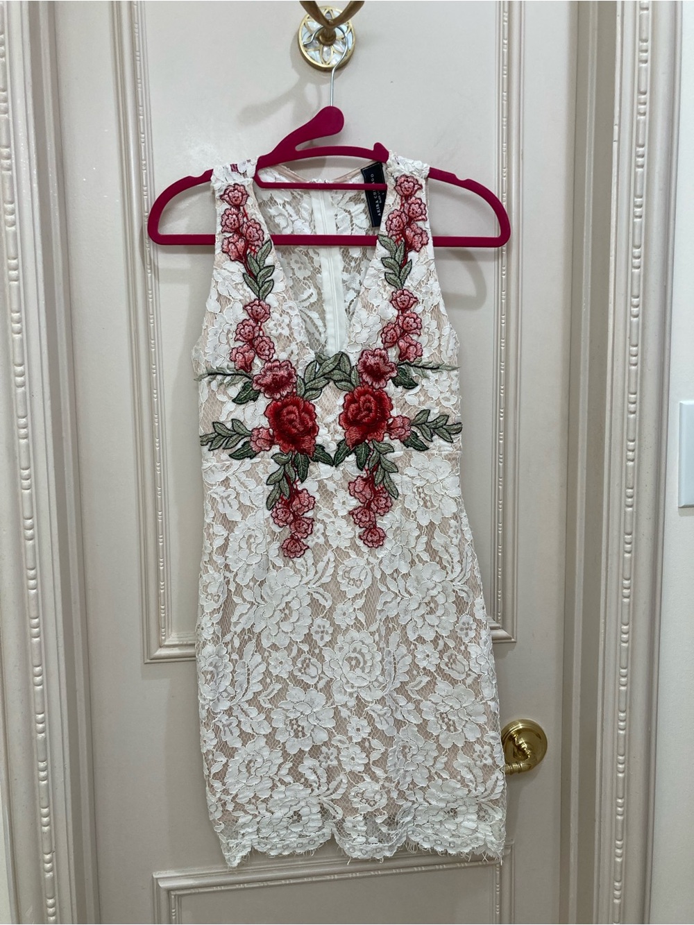 AKIRA Cream Lace Mini Dress with Pink Rose Embroidery